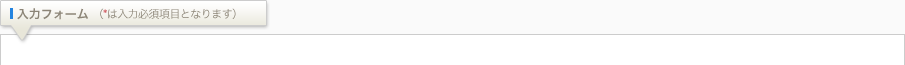 入力フォーム （*は入力必須項目となります）