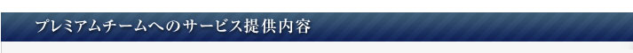 プレミアムチームへのサービス提供内容